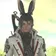 Cryss_Leonhart のプロフィール画像