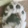 ながくき のプロフィール画像