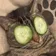 hmeles のプロフィール画像