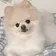 ひえぴた のプロフィール画像