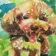 ヘラクレスオウカブト のプロフィール画像