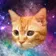 あんこしあん のプロフィール画像