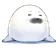 今日からアザラシ のプロフィール画像