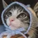 nagoyanomatuya のプロフィール画像