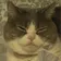 エスエスだよおお のプロフィール画像