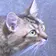 watarux のプロフィール画像