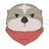 keigo_desu のプロフィール画像