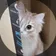 ねると猫缶 のプロフィール画像