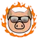 紅蓮の豚ストリーム のプロフィール画像