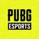 PUBGJAPAN のプロフィール画像