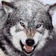 loanwolf00 のプロフィール画像