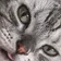 鈴音1022 のプロフィール画像