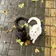 むんにゃ のプロフィール画像