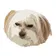 まめじい のプロフィール画像