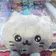 hachiwareww のプロフィール画像