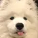 あにぃーちゃん のプロフィール画像