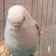 ASASE のプロフィール画像