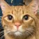 らーく135 のプロフィール画像