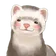 ワクワク のプロフィール画像