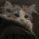 るぅさん_まんぷく_ のプロフィール画像
