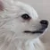 はるの_ のプロフィール画像