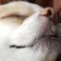 りんりんげーむ のプロフィール画像