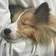 lol_dasher98 のプロフィール画像