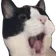 あめしよ のプロフィール画像