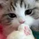 knxrxx のプロフィール画像