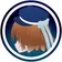 カトブムシ のプロフィール画像