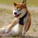 hogbog14 のプロフィール画像