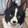 浪速のリュウ のプロフィール画像