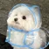 たろちッ のプロフィール画像