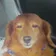 にびさん のプロフィール画像