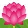 ネラム のプロフィール画像