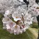 おうからんまん のプロフィール画像