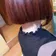 眼鏡夢衣 のプロフィール画像