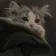 ruuuuuuuu_manpuku_ のプロフィール画像