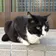やすちゃ のプロフィール画像