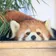 夏空真夏 のプロフィール画像