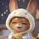 redcoral_gem のプロフィール画像