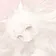 _りとり のプロフィール画像