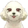 船長フクキタリ のプロフィール画像