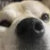 ちゃちゃゃ のプロフィール画像
