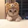 Nekuru_miside のプロフィール画像