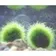 KIRI_MOG のプロフィール画像
