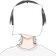 にいと_ のプロフィール画像