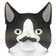 augustbook のプロフィール画像