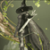 Korosan_BDO のプロフィール画像