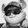 ねいびす のプロフィール画像